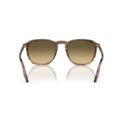 Square Sunglasses RB2203 Women Sunglasses