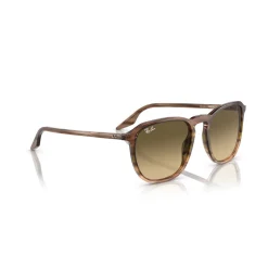 Square Sunglasses RB2203 Women Sunglasses