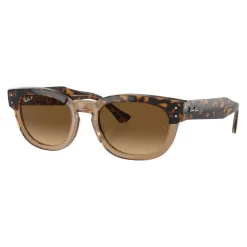 Sale Square Sunglasses RB0298S Women Sunglasses