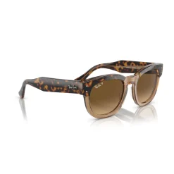 Sale Square Sunglasses RB0298S Women Sunglasses