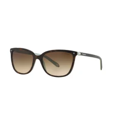 Clearance Square Sunglasses TF4105HB Women Sunglasses