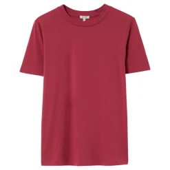 Hot Supima Solid T-Shirt Women Tops