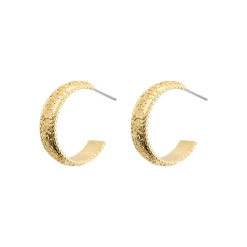 Online Textured Hoop Earrings Women Earrings