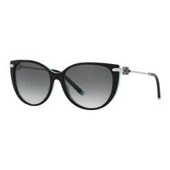 Best 0TF4178 Cat Eye Sunglasses Women Sunglasses