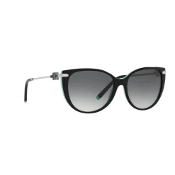 Best 0TF4178 Cat Eye Sunglasses Women Sunglasses