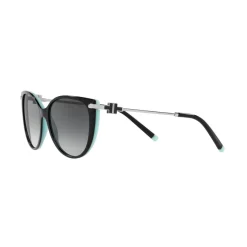 Best 0TF4178 Cat Eye Sunglasses Women Sunglasses