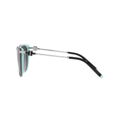 Best 0TF4178 Cat Eye Sunglasses Women Sunglasses