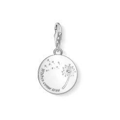 Online Wishes Come True Disc Charm Women Charms